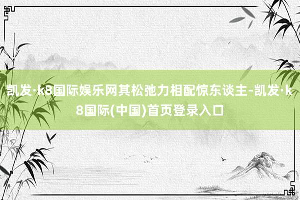 凯发·k8国际娱乐网其松弛力相配惊东谈主-凯发·k8国际(中国)首页登录入口