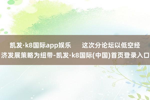 凯发·k8国际app娱乐      这次分论坛以低空经济发展策略为纽带-凯发·k8国际(中国)首页登录入口