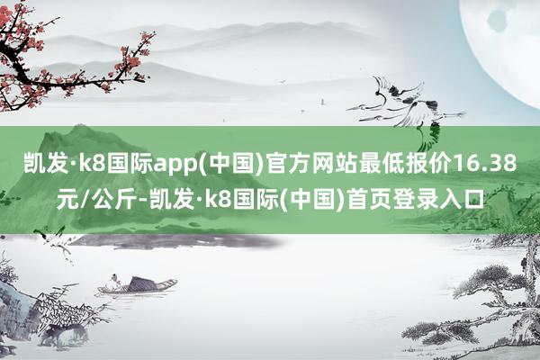 凯发·k8国际app(中国)官方网站最低报价16.38元/公斤-凯发·k8国际(中国)首页登录入口